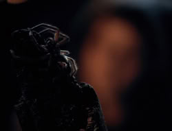 extant_XenaWarriorPrincess_4x02-AdventuresInTheSinTradeII_01944