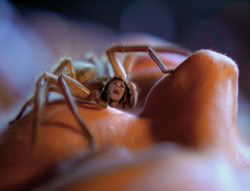 extant_XenaWarriorPrincess_4x02-AdventuresInTheSinTradeII_02089
