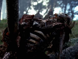 extant_XenaWarriorPrincess_4x02-AdventuresInTheSinTradeII_02285