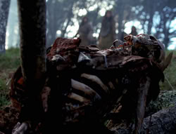 extant_XenaWarriorPrincess_4x02-AdventuresInTheSinTradeII_02287
