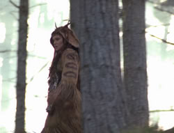 extant_XenaWarriorPrincess_4x02-AdventuresInTheSinTradeII_02310