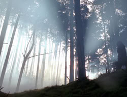 extant_XenaWarriorPrincess_4x02-AdventuresInTheSinTradeII_02312