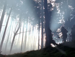 extant_XenaWarriorPrincess_4x02-AdventuresInTheSinTradeII_02314
