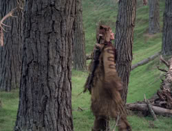 extant_XenaWarriorPrincess_4x02-AdventuresInTheSinTradeII_02322
