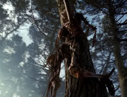 extant_XenaWarriorPrincess_4x02-AdventuresInTheSinTradeII_02325