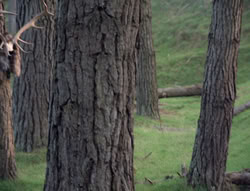 extant_XenaWarriorPrincess_4x02-AdventuresInTheSinTradeII_02329