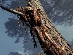 extant_XenaWarriorPrincess_4x02-AdventuresInTheSinTradeII_02335
