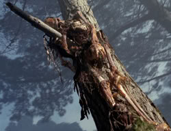 extant_XenaWarriorPrincess_4x02-AdventuresInTheSinTradeII_02336