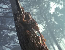 extant_XenaWarriorPrincess_4x02-AdventuresInTheSinTradeII_02338