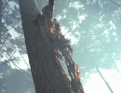 extant_XenaWarriorPrincess_4x02-AdventuresInTheSinTradeII_02339