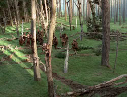 extant_XenaWarriorPrincess_4x02-AdventuresInTheSinTradeII_02363