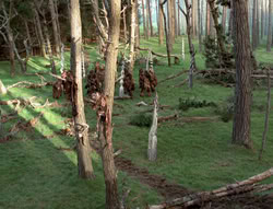 extant_XenaWarriorPrincess_4x02-AdventuresInTheSinTradeII_02366