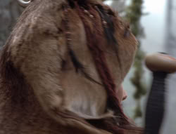 extant_XenaWarriorPrincess_4x02-AdventuresInTheSinTradeII_02433