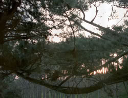 extant_XenaWarriorPrincess_4x02-AdventuresInTheSinTradeII_02459