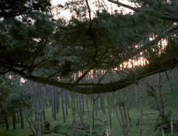 extant_XenaWarriorPrincess_4x02-AdventuresInTheSinTradeII_02461