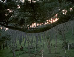 extant_XenaWarriorPrincess_4x02-AdventuresInTheSinTradeII_02462