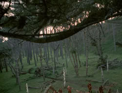 extant_XenaWarriorPrincess_4x02-AdventuresInTheSinTradeII_02463