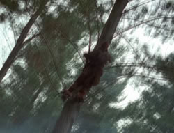 extant_XenaWarriorPrincess_4x02-AdventuresInTheSinTradeII_02546