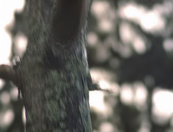 extant_XenaWarriorPrincess_4x02-AdventuresInTheSinTradeII_02549