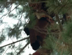 extant_XenaWarriorPrincess_4x02-AdventuresInTheSinTradeII_02550