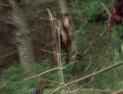 extant_XenaWarriorPrincess_4x02-AdventuresInTheSinTradeII_02565