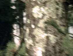 extant_XenaWarriorPrincess_4x02-AdventuresInTheSinTradeII_02577
