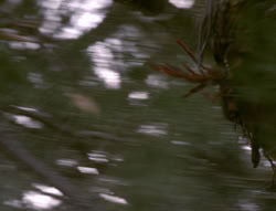 extant_XenaWarriorPrincess_4x02-AdventuresInTheSinTradeII_02600