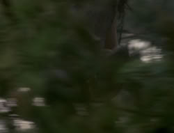 extant_XenaWarriorPrincess_4x02-AdventuresInTheSinTradeII_02618