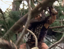 extant_XenaWarriorPrincess_4x02-AdventuresInTheSinTradeII_02624