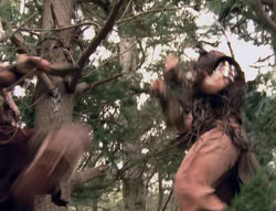 extant_XenaWarriorPrincess_4x02-AdventuresInTheSinTradeII_02631