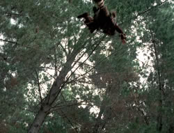 extant_XenaWarriorPrincess_4x02-AdventuresInTheSinTradeII_02640