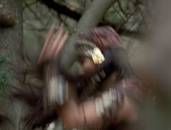 extant_XenaWarriorPrincess_4x02-AdventuresInTheSinTradeII_02642