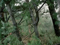 extant_XenaWarriorPrincess_4x02-AdventuresInTheSinTradeII_02647
