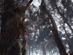 extant_XenaWarriorPrincess_4x02-AdventuresInTheSinTradeII_02780