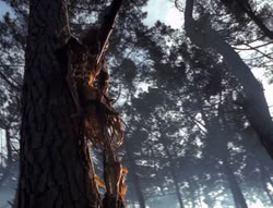 extant_XenaWarriorPrincess_4x02-AdventuresInTheSinTradeII_02781