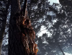 extant_XenaWarriorPrincess_4x02-AdventuresInTheSinTradeII_02782