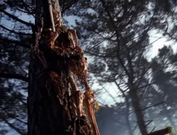 extant_XenaWarriorPrincess_4x02-AdventuresInTheSinTradeII_02783