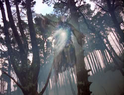 extant_XenaWarriorPrincess_4x02-AdventuresInTheSinTradeII_02943