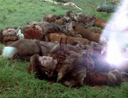 extant_XenaWarriorPrincess_4x02-AdventuresInTheSinTradeII_02946