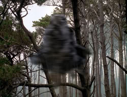 extant_XenaWarriorPrincess_4x02-AdventuresInTheSinTradeII_02956