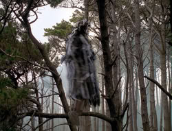 extant_XenaWarriorPrincess_4x02-AdventuresInTheSinTradeII_02958