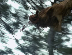 extant_XenaWarriorPrincess_4x02-AdventuresInTheSinTradeII_02965