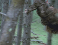 extant_XenaWarriorPrincess_4x02-AdventuresInTheSinTradeII_02968