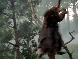 extant_XenaWarriorPrincess_4x02-AdventuresInTheSinTradeII_02970