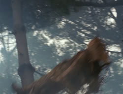 extant_XenaWarriorPrincess_4x02-AdventuresInTheSinTradeII_02980