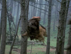 extant_XenaWarriorPrincess_4x02-AdventuresInTheSinTradeII_02981