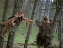 extant_XenaWarriorPrincess_4x02-AdventuresInTheSinTradeII_02990