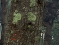 extant_XenaWarriorPrincess_4x02-AdventuresInTheSinTradeII_03020