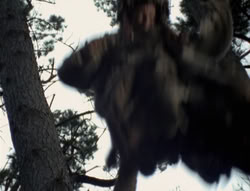 extant_XenaWarriorPrincess_4x02-AdventuresInTheSinTradeII_03021