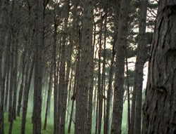 extant_XenaWarriorPrincess_4x02-AdventuresInTheSinTradeII_03031